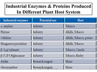 Industrial Enzymes & Proteins Produced
In Different Plant Host System
1/7/2017 31Dept. of Plant Biotechnology
 