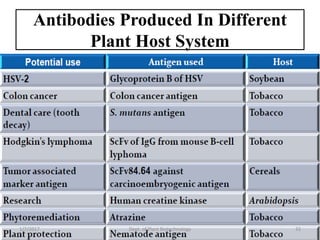 Antibodies Produced In Different
Plant Host System
1/7/2017 32Dept. of Plant Biotechnology
 