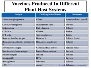 Vaccines Produced In Different
Plant Host Systems
1/7/2017 33Dept. of Plant Biotechnology
 