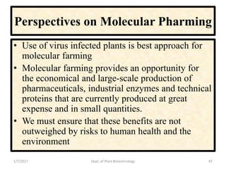 Perspectives on Molecular Pharming
• Use of virus infected plants is best approach for
molecular farming
• Molecular farming provides an opportunity for
the economical and large-scale production of
pharmaceuticals, industrial enzymes and technical
proteins that are currently produced at great
expense and in small quantities.
• We must ensure that these benefits are not
outweighed by risks to human health and the
environment
1/7/2017 47Dept. of Plant Biotechnology
 