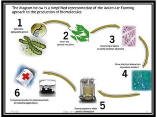 1/7/2017 8Dept. of Plant Biotechnology
 