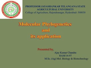 PROFESSOR JAYASHANKAR TELANGANA STATE
AGRICULTURAL UNIVERSITY
College of Agriculture, Rajendranagar, Hyderabad- 500030
Presented by,
Ajay Kumar Chandra
RAM/14-97
M.Sc. (Ag) Mol. Biology & Biotechnology
 