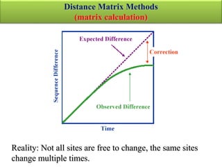 Reality: Not all sites are free to change, the same sites
change multiple times.
Distance Matrix Methods
(matrix calculation)
 
