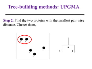 Tree-building methods: UPGMA
Step 2: Find the two proteins with the smallest pair wise
distance. Cluster them.
1 2
3
4
5
1 2
6
 