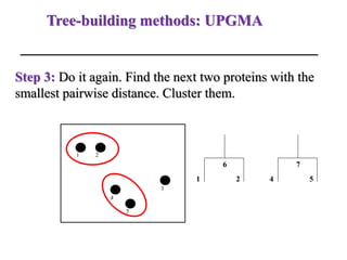 Tree-building methods: UPGMA
Step 3: Do it again. Find the next two proteins with the
smallest pairwise distance. Cluster them.
1 2
3
4
5
1 2
6
4 5
7
 