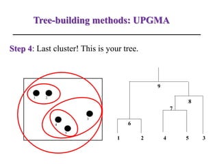 Tree-building methods: UPGMA
Step 4: Last cluster! This is your tree.
1 2
3
4
5
1 2
6
4 5
7
3
8
9
 