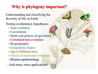 Understanding and classifying the
diversity of life on Earth.
Testing evolutionary hypotheses:
- Trait evolution
- Coevolution
- Mode and pattern of speciation
- Correlated trait evolution
- Biogeography
- Geographic origins
- Age of different taxa
- Nature of molecular evolution
- Disease epidemiology
…And many more applications!
Why is phylogeny important?
 