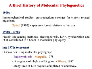 A Brief History of Molecular Phylogenetics
1900s
Immunochemical studies: cross-reactions stronger for closely related
organisms
Nuttall (1902) - apes are closest relatives to humans
1960s - 1970s
Protein sequencing methods, electrophoresis, DNA hybridization and
PCR contributed to a boom in molecular phylogeny
late 1970s to present
Discoveries using molecular phylogeny:
- Endosymbiosis - Margulis, 1978
- Divergence of phyla and kingdom - Woese, 1987
- Many Tree of Life projects completed or underway.
 