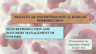 MOLECULAR AND PHYSIOLOGICAL BASIS OF
REPRODUCTION
Presentation by
Yogendra Nishad
FAQC 512
SEED REPRODUCTION AND
HATCHERY MANAGEMENT OF
FINFISHS
 