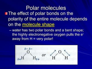 Polar molecules
The effect of polar bonds on the
polarity of the entire molecule depends
on the molecule shape
– water has two polar bonds and a bent shape;
the highly electronegative oxygen pulls the e-
away from H = very polar!
 