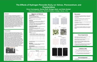 The Effects of Hydrogen Peroxide (H2O2) on Volvox, Prorocentrum, and Porphyridium Vince Carcioppolo, Denise Roth, Bridget Abed, and Katie HertzelDepartment of Biology, Baldwin-Wallace College, Berea, Ohio Materials and Methods Setting up Cultures ,[object Object]