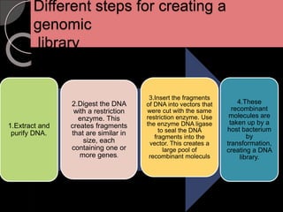 Genomic Library Def genomic library | PPTX