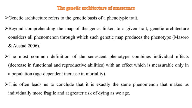 Molecular Presentation 2 Pptx