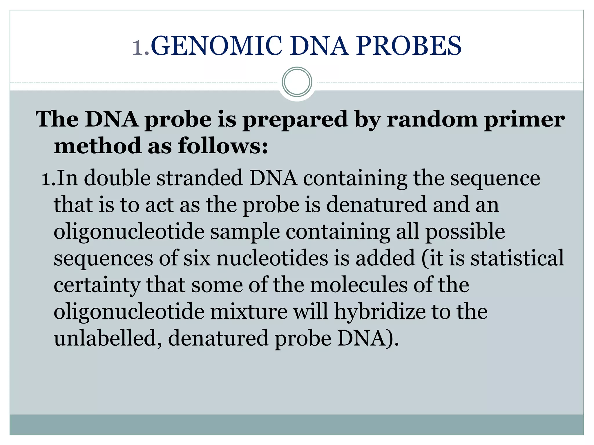 1.GENOMIC DNA PROBES
The DNA probe is prepared by random primer
method as follows:
1.In double stranded DNA containing the sequence
that is to act as the probe is denatured and an
oligonucleotide sample containing all possible
sequences of six nucleotides is added (it is statistical
certainty that some of the molecules of the
oligonucleotide mixture will hybridize to the
unlabelled, denatured probe DNA).
 