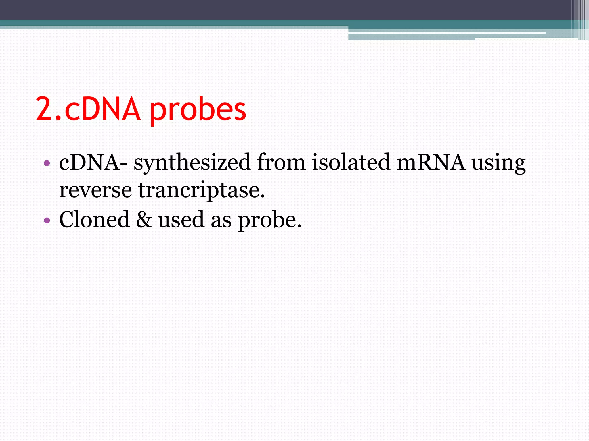 2.cDNA probes
• cDNA- synthesized from isolated mRNA using
reverse trancriptase.
• Cloned & used as probe.
 