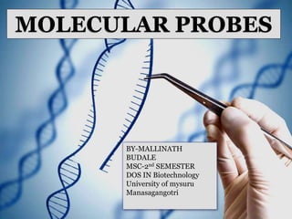 MOLECULAR PROBES
BY-MALLINATH
BUDALE
MSC-2nd SEMESTER
DOS IN Biotechnology
University of mysuru
Manasagangotri
 