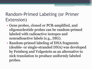 Molecular probes | PPTX