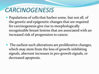 CARCINOGENESIS
 Populations of cells that harbor some, but not all, of
the genetic and epigenetic changes that are required
for carcinogenesis give rise to morphologically
recognizable breast lesions that are associated with an
increased risk of progression to cancer.
 The earliest such alterations are proliferative changes,
which may stem from the loss of growth-inhibiting
signals, aberrant increases in pro-growth signals, or
decreased apoptosis.
 