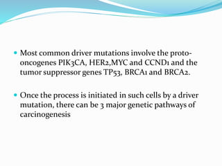  Most common driver mutations involve the proto-
oncogenes PIK3CA, HER2,MYC and CCND1 and the
tumor suppressor genes TP53, BRCA1 and BRCA2.
 Once the process is initiated in such cells by a driver
mutation, there can be 3 major genetic pathways of
carcinogenesis
 