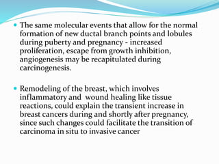  The same molecular events that allow for the normal
formation of new ductal branch points and lobules
during puberty and pregnancy - increased
proliferation, escape from growth inhibition,
angiogenesis may be recapitulated during
carcinogenesis.
 Remodeling of the breast, which involves
inflammatory and wound healing like tissue
reactions, could explain the transient increase in
breast cancers during and shortly after pregnancy,
since such changes could facilitate the transition of
carcinoma in situ to invasive cancer
 