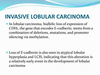 INVASIVE LOBULAR CARCINOMA
 In lobular carcinoma, biallelic loss of expression of
CDH1, the gene that encodes E-cadherin, stems from a
combination of deletions, mutations, and promoter
silencing via methylation.
 Loss of E-cadherin is also seen in atypical lobular
hyperplasia and LCIS, indicating that this alteration is
a relatively early event in the development of lobular
carcinoma
 