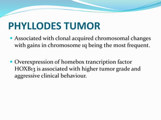 PHYLLODES TUMOR
 Associated with clonal acquired chromosomal changes
with gains in chromosome 1q being the most frequent.
 Overexpression of homebox trancription factor
HOXB13 is associated with higher tumor grade and
aggressive clinical behaviour.
 