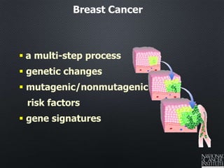 Molecular profiling in breast cancer | PPTX