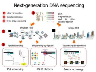 Molecular profiling of breast cancer | PPTX