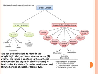 Molecular profiling of breast cancer | PPTX