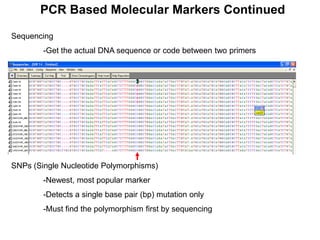 PCR Based Molecular Markers Continued
Sequencing
-Get the actual DNA sequence or code between two primers
SNPs (Single Nucleotide Polymorphisms)
-Newest, most popular marker
-Detects a single base pair (bp) mutation only
-Must find the polymorphism first by sequencing
 