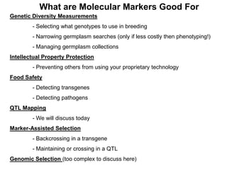 What are Molecular Markers Good For
Genetic Diversity Measurements
- Selecting what genotypes to use in breeding
- Narrowing germplasm searches (only if less costly then phenotyping!)
- Managing germplasm collections
Intellectual Property Protection
- Preventing others from using your proprietary technology
Food Safety
- Detecting transgenes
- Detecting pathogens
QTL Mapping
- We will discuss today
Marker-Assisted Selection
- Backcrossing in a transgene
- Maintaining or crossing in a QTL
Genomic Selection (too complex to discuss here)
 