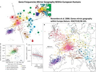 Gene Frequencies Mirror Geography Within European Humans
Novembre et al. 2008. Genes mirror geography
within Europe.Nature. 456(7218):98-101.
 