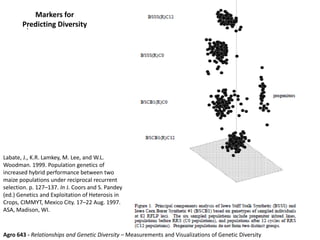 .
Markers for
Predicting Diversity
Labate, J., K.R. Lamkey, M. Lee, and W.L.
Woodman. 1999. Population genetics of
increased hybrid performance between two
maize populations under reciprocal recurrent
selection. p. 127–137. In J. Coors and S. Pandey
(ed.) Genetics and Exploitation of Heterosis in
Crops, CIMMYT, Mexico City. 17–22 Aug. 1997.
ASA, Madison, WI.
Agro 643 - Relationships and Genetic Diversity – Measurements and Visualizations of Genetic Diversity
 