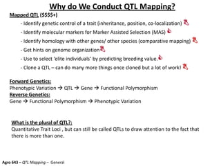 Why do We Conduct QTL Mapping?
Mapped QTL ($$$$+)
- Identify genetic control of a trait (inheritance, position, co-localization) 
- Identify molecular markers for Marker Assisted Selection (MAS) 
- Identify homology with other genes/ other species (comparative mapping) 
- Get hints on genome organization
- Use to select ‘elite individuals’ by predicting breeding value.
- Clone a QTL – can do many more things once cloned but a lot of work! 
Forward Genetics:
Phenotypic Variation  QTL  Gene  Functional Polymorphism
Reverse Genetics:
Gene  Functional Polymorphism  Phenotypic Variation
Agro 643 – QTL Mapping – General
What is the plural of QTL?:
Quantitative Trait Loci , but can still be called QTLs to draw attention to the fact that
there is more than one.
 