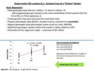 Single marker QTL analysis (F2) – Simplest Case of a “Perfect” Marker
Basic Regression
- Code genotypic data (Parent 1 alleles = 0, Parent 2 alleles =1)
- Missing genotypes get treated as the mean probability of both parents (0.5 for
F2 or RIL’s, 0.75 for backcross 1)
- Create genetic map (not necessary for most basic test)
- Prepare phenotypic data (BLUP’s, location means, transform to normality)
- Regress genotypes onto phenotypes (same result as t-test, ANOVA)
- Significant genotypic marker means the marker is likely linked to a QTL
- Estimation of the regression slope = estimate of QTL effect
Data simulated in R (additive)
AA<-rnorm(10,110,3)
Aa<-rnorm(20,105,3)
aa<-rnorm(10,100,3)
Regression found difference in height to
be 5.213cm compared to 5cm that we
specified
aa
Aa
AA
y = 5.213x + 94.904
R² = 0.6085
85
90
95
100
105
110
115
120
HEIGHT(CM)
R: #Single Marker QTL analysis
Agro 643 – QTL Mapping – Single Marker Analysis
 