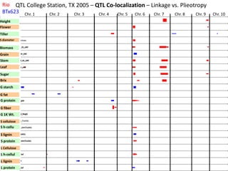 Crude_protein_leafCrude_protein_leafCrude_protein_leaf
Lignin_leafLignin_leafLignin_leafLignin_leafLignin_leafLignin_leafLignin_leafLignin_leaf
Hemicellulose_leafHemicellulose_leafHemicellulose_leaf
Cellulose_leafCellulose_leaf
Crude_protein_stem(%solids)Crude_protein_stem(%solids)Crude_protein_stem(%solids)Crude_protein_stem(%solids)
Lignin_stem(%solids)Lignin_stem(%solids)Lignin_stem(%solids)Lignin_stem(%solids)Lignin_stem(%solids)
Hemi-cellulose_stem(%solids)Hemi-cellulose_stem(%solids)
Cellulose_stem_(%solids)
Thousand_Seed_WeightThousand_Seed_WeightThousand_Seed_WeightThousand_Seed_WeightThousand_Seed_WeightThousand_Seed_WeightThousand_Seed_WeightThousand_Seed_WeightThousand_Seed_WeightThousand_Seed_WeightThousand_Seed_WeightThousand_Seed_Weight
ADF_grainADF_grainADF_grainADF_grainADF_grain
Crude_protein_grainCrude_protein_grainCrude_protein_grainCrude_protein_grainCrude_protein_grainCrude_protein_grainCrude_protein_grainCrude_protein_grainCrude_protein_grain
Fat_grainFat_grainFat_grainFat_grainFat_grain
Starch_grainStarch_grainStarch_grainStarch_grainStarch_grainStarch_grainStarch_grain
BrixBrixBrixBrixBrixBrix
Sugar_yieldSugar_yieldSugar_yieldSugar_yieldSugar_yieldSugar_yield
Leaf_dry_matter_yieldLeaf_dry_matter_yieldLeaf_dry_matter_yieldLeaf_dry_matter_yieldLeaf_dry_matter_yieldLeaf_dry_matter_yield
Stem_structural_dry_yieldStem_structural_dry_yieldStem_structural_dry_yieldStem_structural_dry_yieldStem_structural_dry_yieldStem_structural_dry_yieldStem_structural_dry_yieldStem_structural_dry_yield
Grain_dry_matter_yieldGrain_dry_matter_yieldGrain_dry_matter_yieldGrain_dry_matter_yieldGrain_dry_matter_yieldGrain_dry_matter_yieldGrain_dry_matter_yield
Total_Biomass_dry_yieldTotal_Biomass_dry_yieldTotal_Biomass_dry_yieldTotal_Biomass_dry_yieldTotal_Biomass_dry_yieldTotal_Biomass_dry_yieldTotal_Biomass_dry_yield
Mean_stem_thickness
stand_densitystand_densitystand_densitystand_densitystand_densitystand_densitystand_densitystand_densitystand_densitystand_density
Flowering_timeFlowering_timeFlowering_timeFlowering_time
Hgt_(cm)Hgt_(cm)Hgt_(cm)Hgt_(cm)Hgt_(cm)Hgt_(cm)
QTL College Station, TX 2005 – QTL Co-localization – Linkage vs. Plieotropy
Height
Flower
Tiller
S diameter
Biomass
Grain
Stem
Leaf
Sugar
Brix
G starch
G fat
G protein
G fiber
G 1K Wt.
S cellulose
S h-cellu
S lignin
S protein
L Cellulose
L h-cellul
L lignin
L protein
Chr. 1 Chr. 3Chr. 2 Chr. 4 Chr. 5 Chr. 6 Chr. 7 Chr. 8 Chr. 9 Chr. 10
Rio
BTx623
 