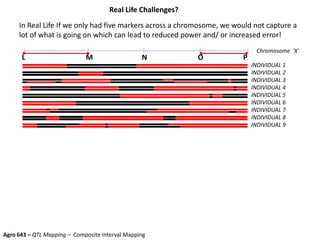 In Real Life If we only had five markers across a chromosome, we would not capture a
lot of what is going on which can lead to reduced power and/ or increased error!
M N P
Chromosome ‘X’
Real Life Challenges?
Agro 643 – QTL Mapping – Composite Interval Mapping
L O
INDIVIDUAL 1
INDIVIDUAL 2
INDIVIDUAL 3
INDIVIDUAL 4
INDIVIDUAL 5
INDIVIDUAL 6
INDIVIDUAL 7
INDIVIDUAL 8
INDIVIDUAL 9
 