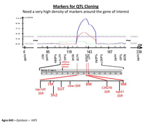 Markers for QTL Cloning
Need a very high density of markers around the gene of interest
Agro 643 – Epistasis – HIFS
 