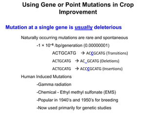 Using Gene or Point Mutations in Crop
Improvement
Mutation at a single gene is usually deleterious
Naturally occurring mutations are rare and spontaneous
-1 × 10−8 /bp/generation (0.00000001)
ACTGCATG  ACCGCATG (Transitions)
ACTGCATG  AC_GCATG (Deletions)
ACTGCATG  ACCCGCATG (Insertions)
Human Induced Mutations
-Gamma radiation
-Chemical - Ethyl methyl sulfonate (EMS)
-Popular in 1940’s and 1950’s for breeding
-Now used primarily for genetic studies
 