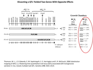 Dissecting a QTL Yielded Two Genes With Opposite Effects
Thomson, M. J., J. D. Edwards, E. M. Septiningsih, S. E. Harrington and S. R. McCouch, 2006 Substitution
mapping of dth1.1, a flowering-time quantitative trait locus (QTL) associated with transgressive
variation in rice, reveals multiple Sub-QTL. Genetics 172: 2501–2514.
 