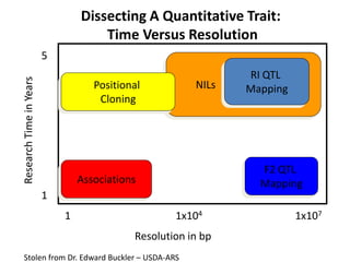Dissecting A Quantitative Trait:
Time Versus Resolution
Resolution in bp
1x1071
ResearchTimeinYears
5
1
Associations
1x104
F2 QTL
Mapping
NILsPositional
Cloning
RI QTL
Mapping
Stolen from Dr. Edward Buckler – USDA-ARS
 