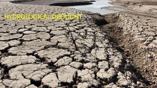 Molecular Biology and Genetic Mechanisms of Plant Drought Tolerance | PPTX