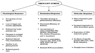 Molecular Biology and Genetic Mechanisms of Plant Drought Tolerance | PPTX