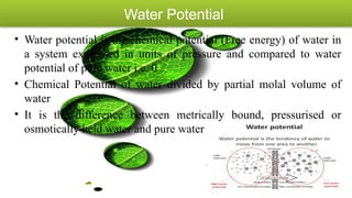 Molecular Biology and Genetic Mechanisms of Plant Drought Tolerance | PPTX