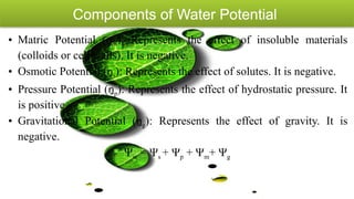 Molecular Biology and Genetic Mechanisms of Plant Drought Tolerance | PPTX