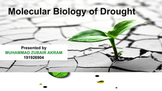 Molecular Biology and Genetic Mechanisms of Plant Drought Tolerance | PPTX