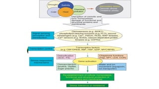 Molecular Biology and Genetic Mechanisms of Plant Drought Tolerance | PPTX
