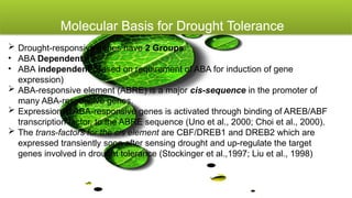Molecular Biology and Genetic Mechanisms of Plant Drought Tolerance | PPTX