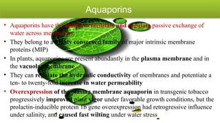 Molecular Biology and Genetic Mechanisms of Plant Drought Tolerance | PPTX