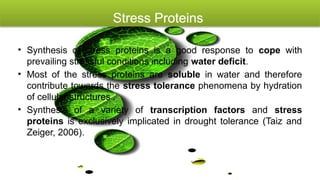 Molecular Biology and Genetic Mechanisms of Plant Drought Tolerance | PPTX